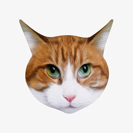 Kişiye Özel Tasarım Kedi Halı